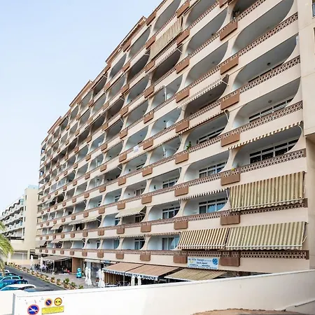 Flamingo On The South Near The Palm-mar