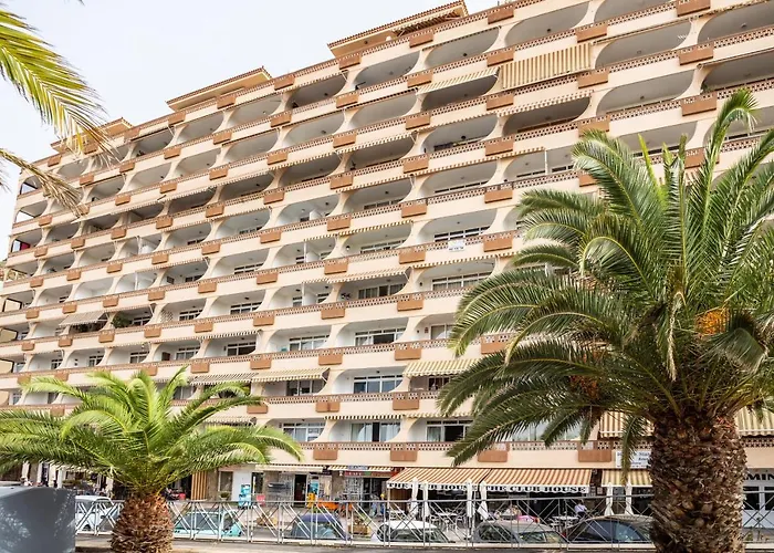 Flamingo On The South Near The *