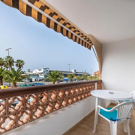 Flamingo On The South Near The