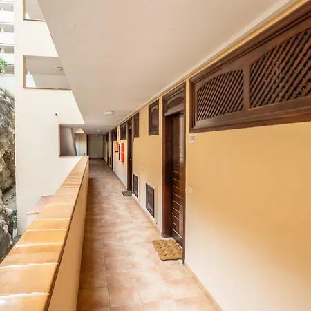 Flamingo On The South Near The Daire *