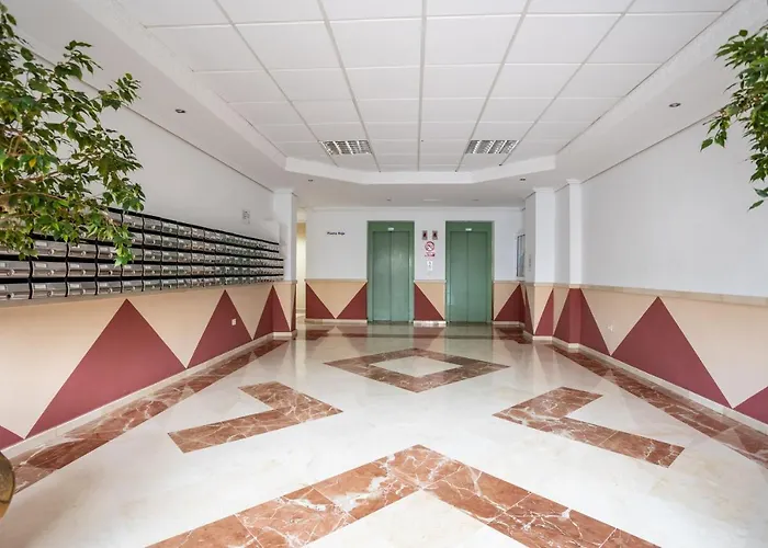 Flamingo On The South Near The