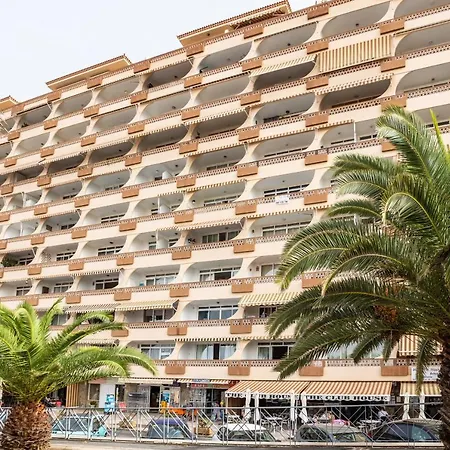 Flamingo On The South Near The *