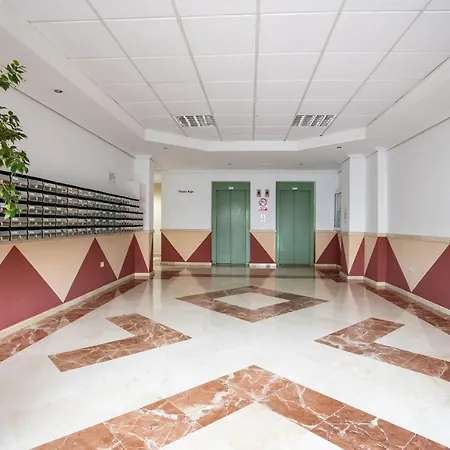 Flamingo On The South Near The